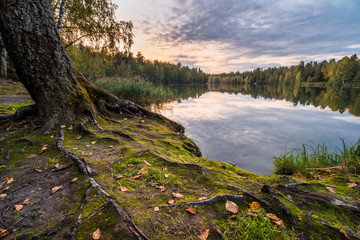 the last summer sunset