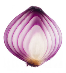 Obraz premium Onion