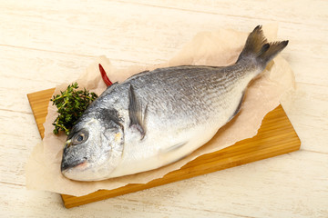raw dorada fish