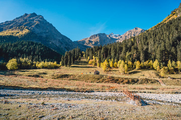 Rocky mountains, autumn forest and river. Mountain landscape. Autumn in mountains