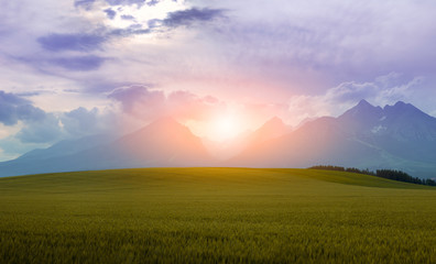 Naklejka na ściany i meble Amazing sunset. Landscape high mountains. Landscape in the fields.