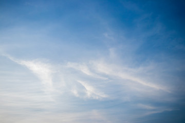 White cloud with blue sky background, have the copy space