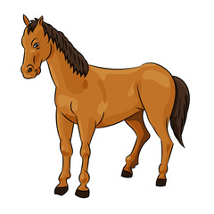 Illustration of Horse - Vector Illustration