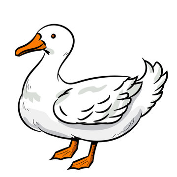 recommend clip art: Illustration of Duck -Vector Illustration