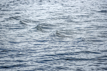 Small waves on a calm northern sea