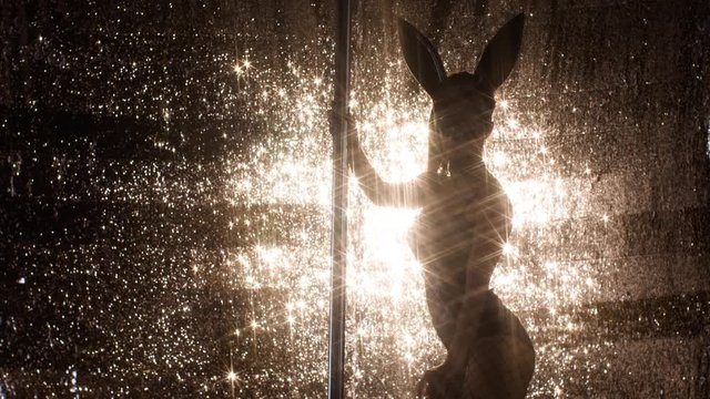 amazing pole dancer moving in a costume with bunny ears