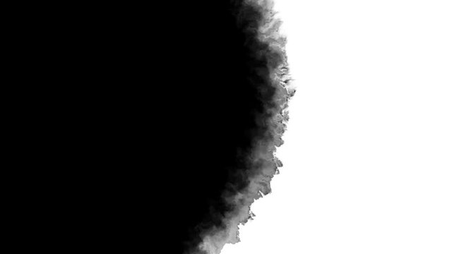 4k digital Ink bleed / Watercolour Matte / Compositing slow motion reveal