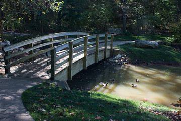 Bridge over the Pond