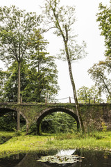 very old, historic bridge with high arches and green plants,