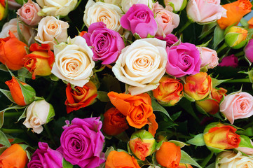 Bouquet of roses