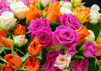 Bouquet of roses