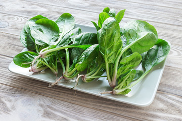spinach in the plate. Meal preparation concept