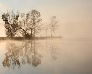 Fototapeta na wymiar foggy tree reflections