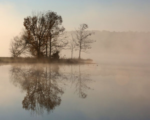 Fototapeta premium foggy tree reflections
