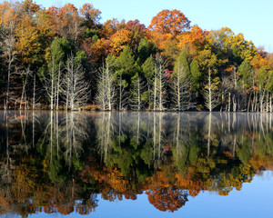 fall reflection