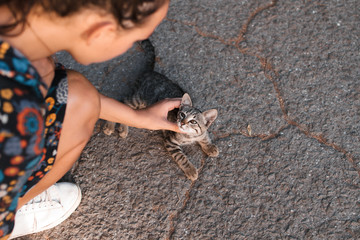 A girl is stroking in the street a beautiful homeless cat