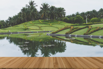 tree in garden. pond in park with wood table for montage or display product