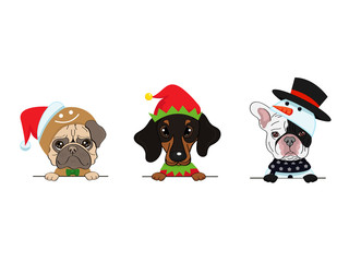 Dogs of different breeds in Christmas costumes hold a banner