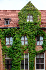 Town Hall. Torun, Poland