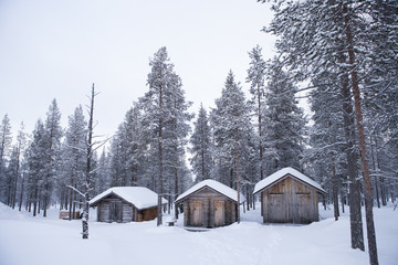 Cabanes dans une forêt enneigée en Laponie