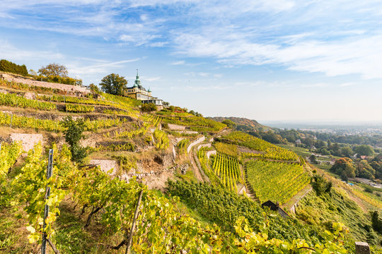 Radebeul mit Blick &uuml;ber die Weinberge zum Spitzhaus