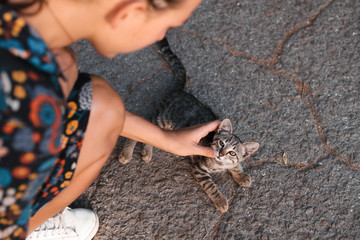 A girl is stroking in the street a beautiful homeless cat