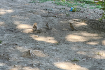 Ancient city Ancient city of Hierapolis