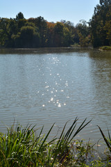 See im Herbst, mit Gras unten, Wald oben und Reflexionen im Wasser