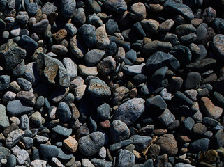textured background of some rocks and pebbles of different colours
