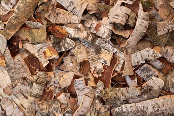Pieces of dry birch bark