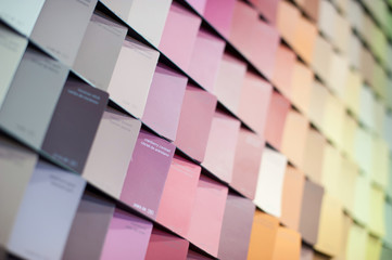 Designer Professional Palette catalog of colors for choosing the desired shade