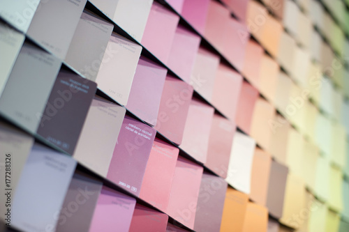 Designer Professional Palette catalog of colors for choosing the desired shade