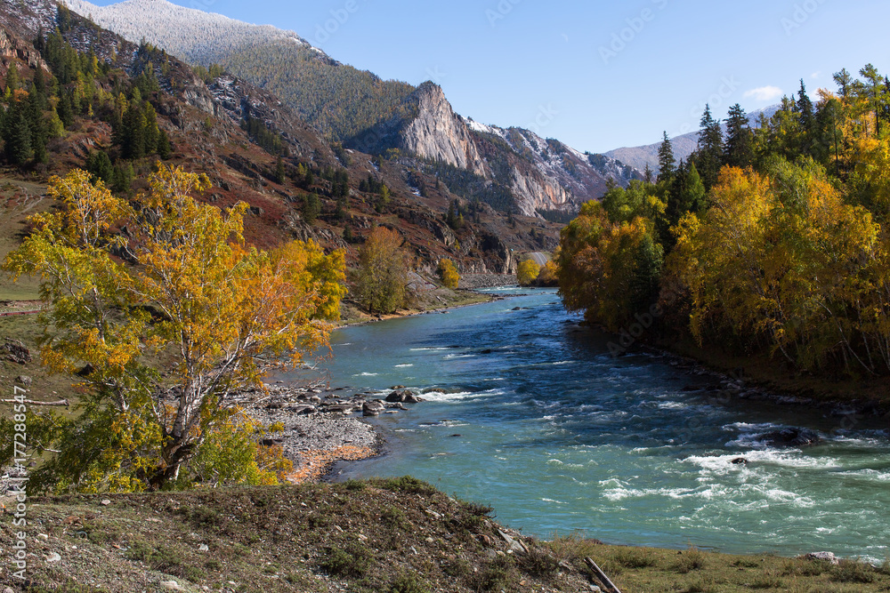 Poster view of katun river in altai mountains, russia.