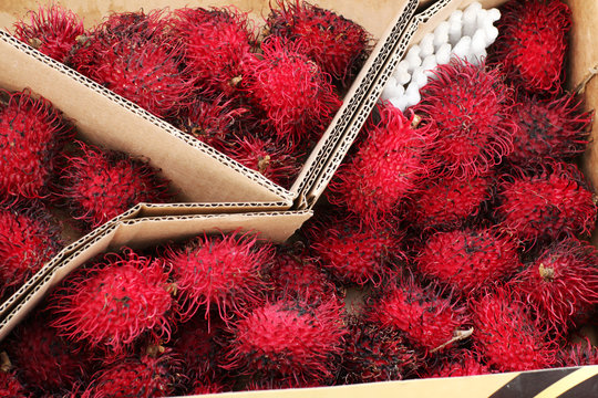 Fresh rambutan fruit