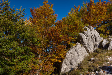 Monte Amaro, Parco Nazionale d'Abruzzo