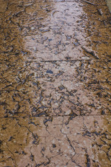 Italian floors
