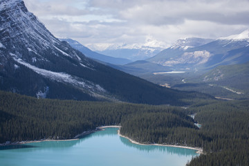 Lac peyto