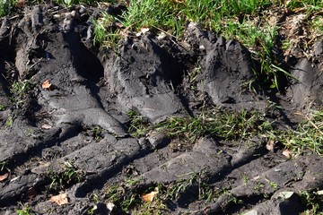 Reifenabdrücke eines Traktors in schwarzer torfhaltiger und feuchter Erde in einem Sumpfgebiet in Bayern