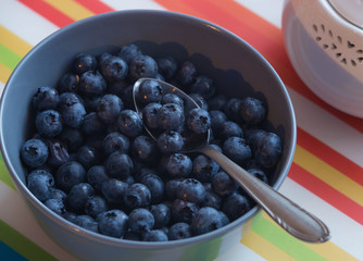 View of the Blueberry in a bowl on the table