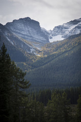 m&eacute;l&egrave;zes canadiens