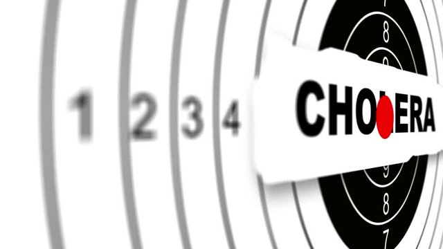 Close up Shooting target with word cholera .