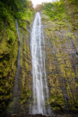 Obraz premium Waimoku Falls, waterfall of the Pipiwai Trail above Seven Sacred Pools on the Road to Hana, Maui Hawaii