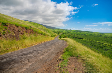 Fototapeta na wymiar Beautiful landscape of South Maui, Island of Hawaii