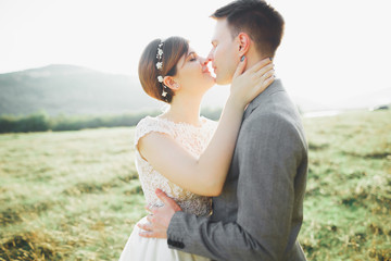 Kissing wedding couple staying over beautiful landscape