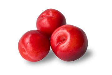 Red plum isolated on white