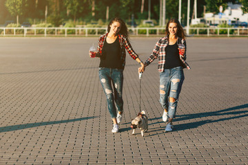 Two beautiful smiling girl sisters twins and dog pug walking in summer park