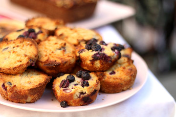 Plate of gluten-free blueberry muffins made with coconut flour. Selective focus. 