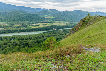 Дикая природа Алтайского Края