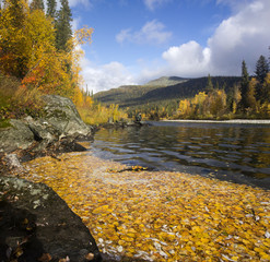 Ural autumn landscape - snow-capped peaks, mountain forests, yellow foliage, transparent cold rivers