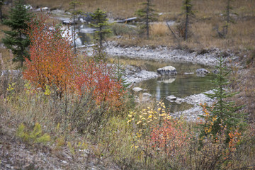 couleurs d'automne canada